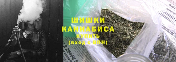 PSILOCYBIN Горно-Алтайск