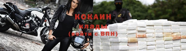 прущие крисы Горняк