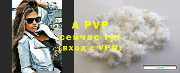 PSILOCYBIN Горно-Алтайск