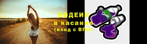 прущие крисы Горняк