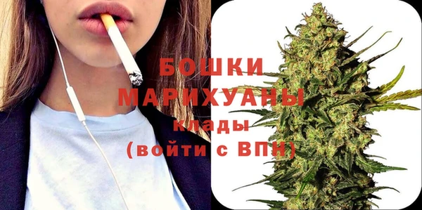 PSILOCYBIN Горно-Алтайск