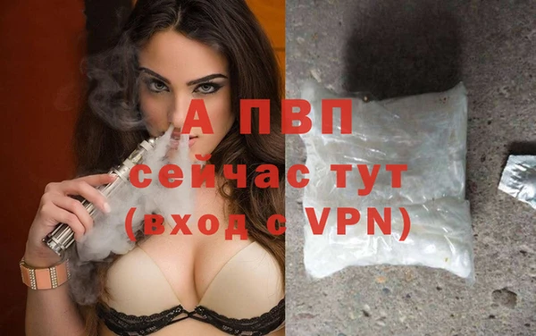 прущие крисы Горняк