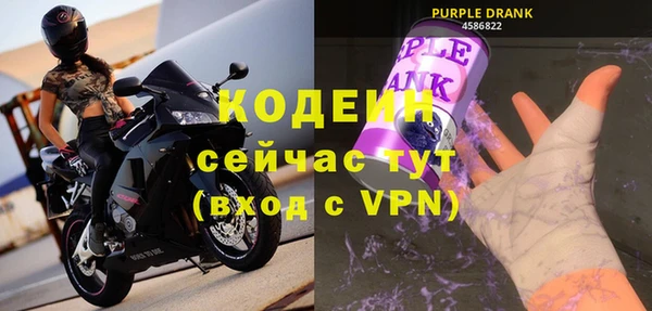прущие крисы Горняк