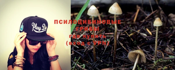 гашишное масло Горнозаводск