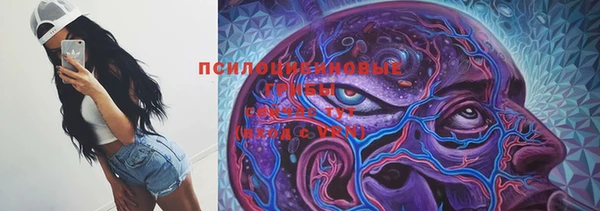 PSILOCYBIN Горно-Алтайск