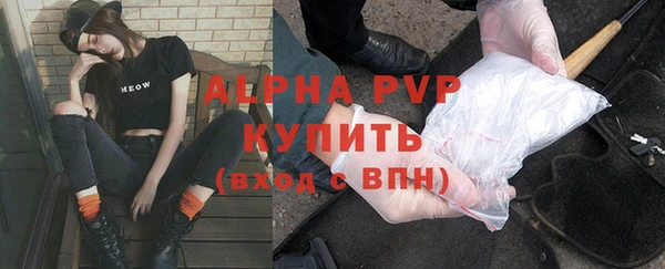 прущие крисы Горняк