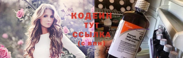 прущие крисы Горняк