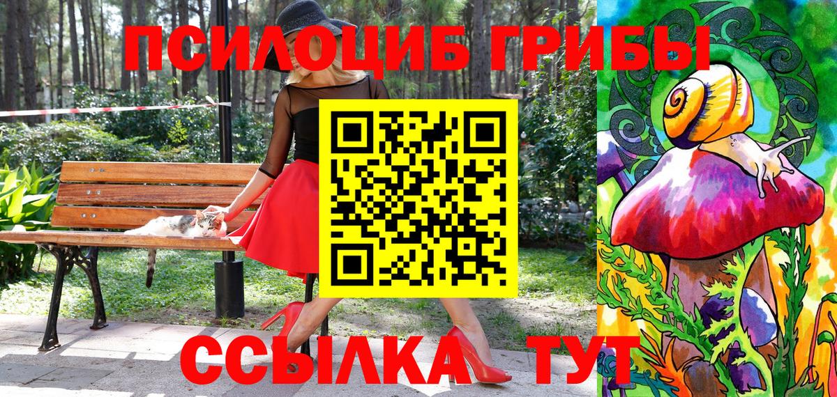 Псилоцибиновые грибы прущие грибы  Наро-Фоминск  Псилоцибиновые грибы прущие грибы 