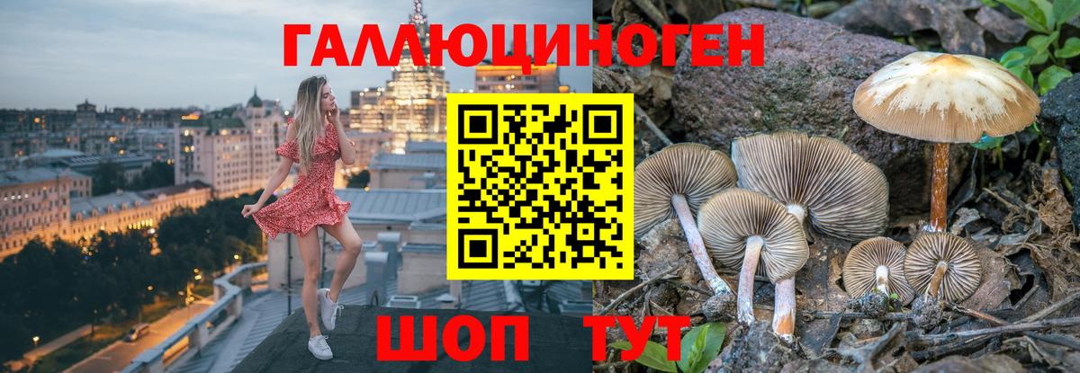 Галлюциногенные грибы Magic Shrooms  Галлюциногенные грибы GOLDEN TEACHER  Наро-Фоминск  Вход с VPN 